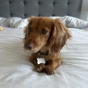 Sheila