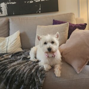 Chloe