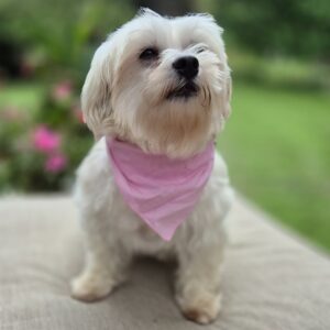 Sammie