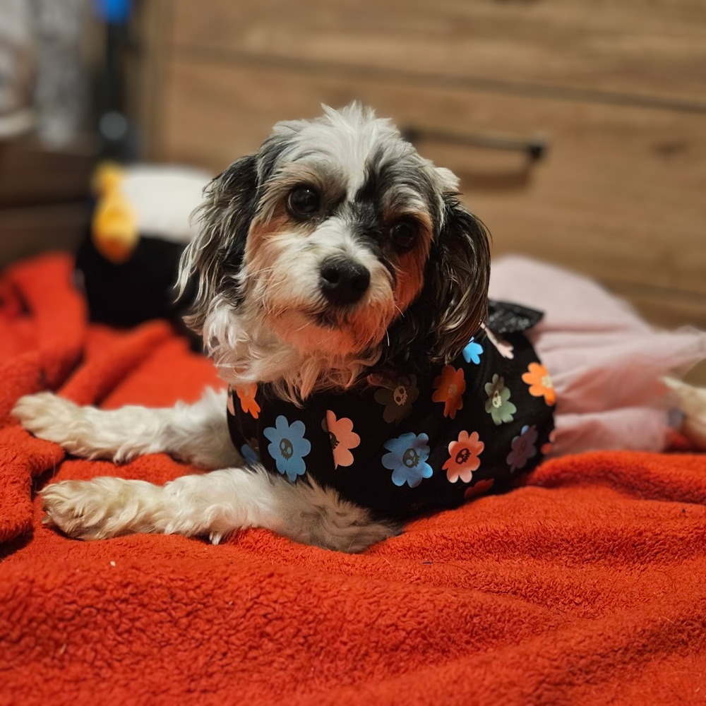 Ellie