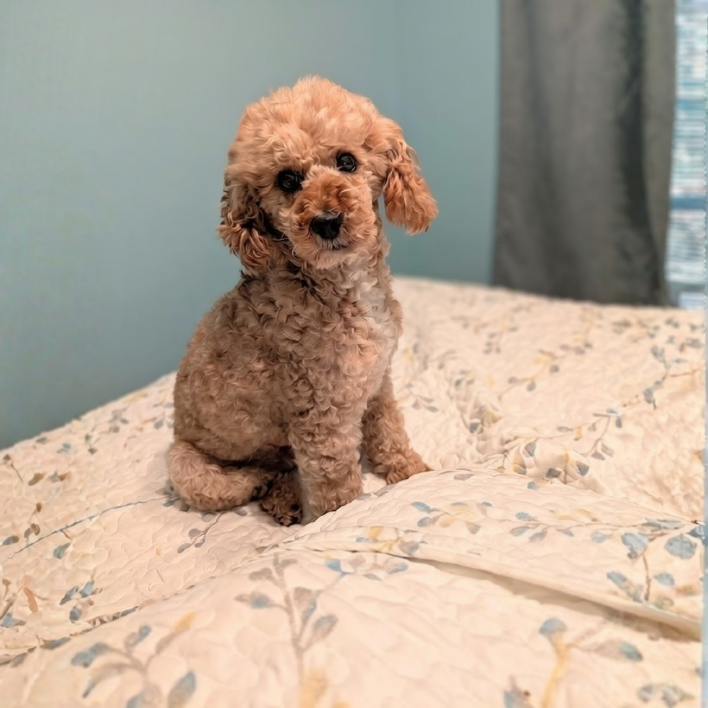 Jake - Image 7
