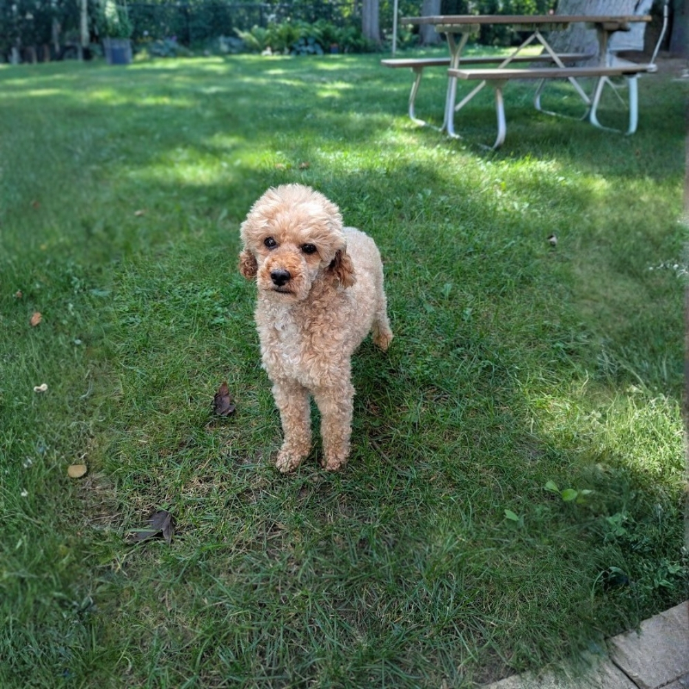 Jake - Image 8